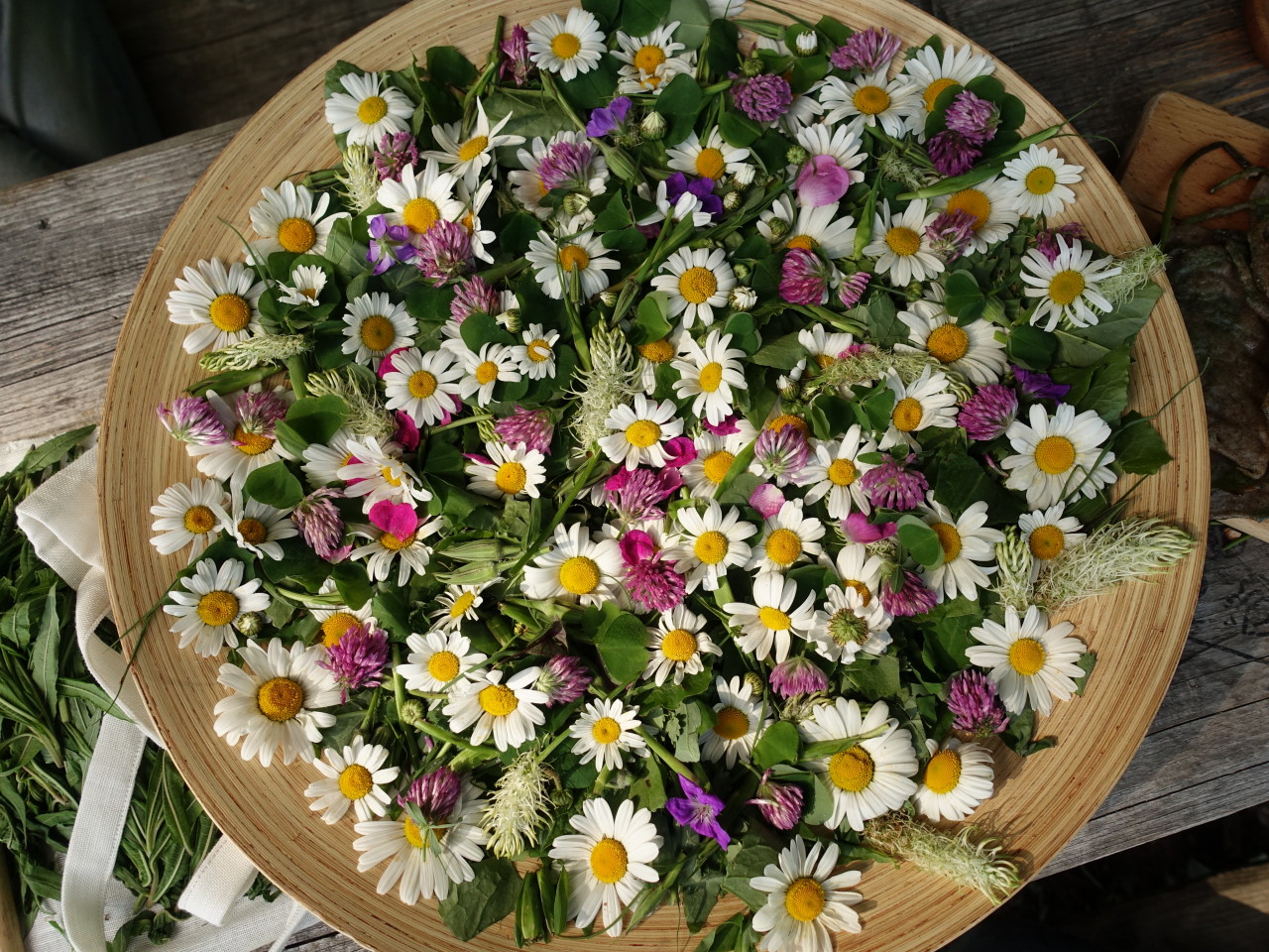 DSC03042.JPG