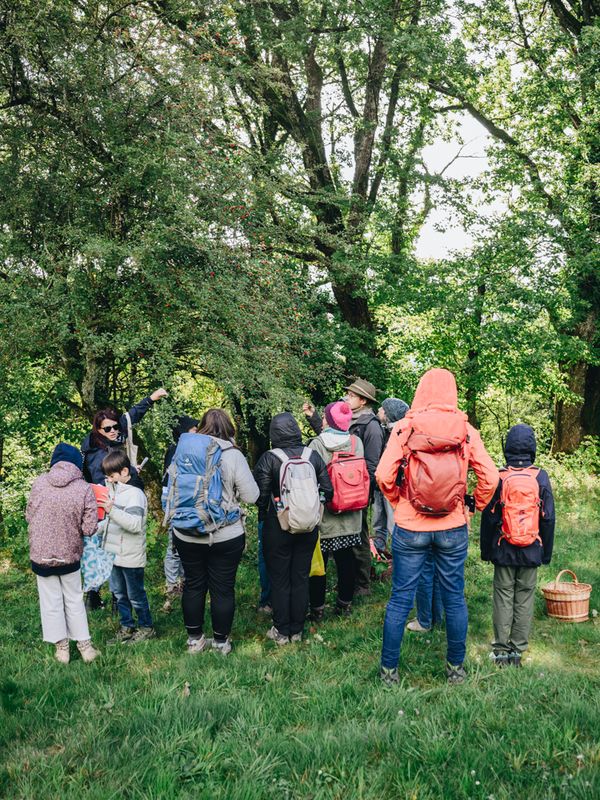 Cours pratique sur le terrain